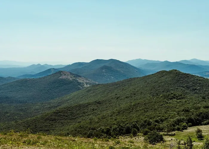 Tumova Koca Na Slavniku *
